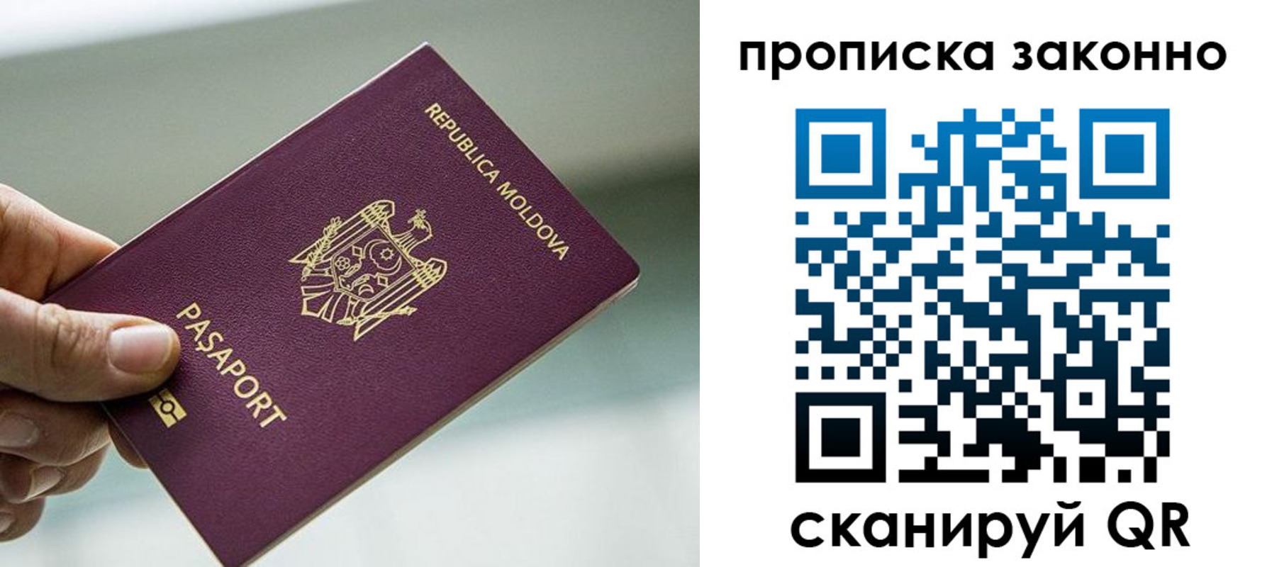 временная регистрация недорого в Павловске