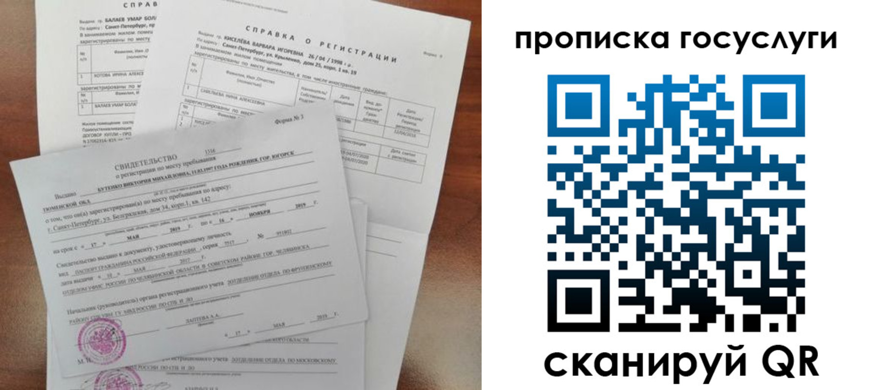 прописка в Павловске